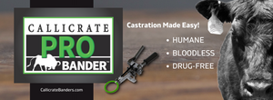 Callicrate PRO Bander™ Kit